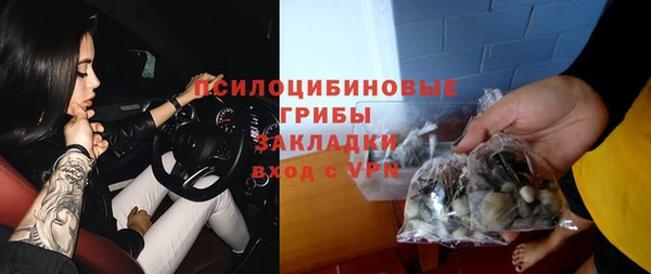 ПСИЛОЦИБИНОВЫЕ ГРИБЫ Баксан