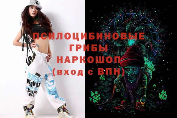 ПСИЛОЦИБИНОВЫЕ ГРИБЫ Арсеньев