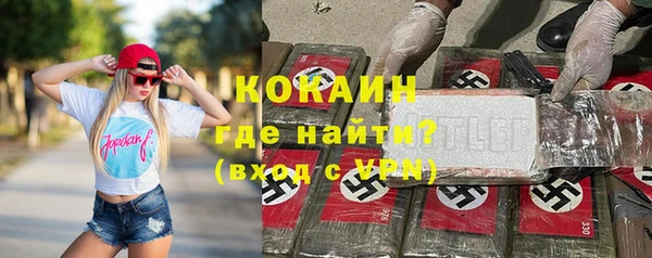 ПСИЛОЦИБИНОВЫЕ ГРИБЫ Арсеньев