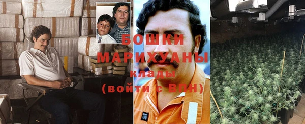 ПСИЛОЦИБИНОВЫЕ ГРИБЫ Баксан