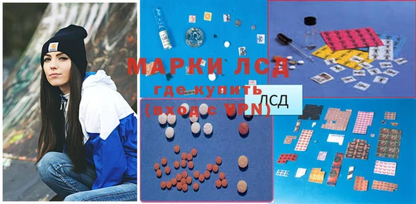 ПСИЛОЦИБИНОВЫЕ ГРИБЫ Арсеньев