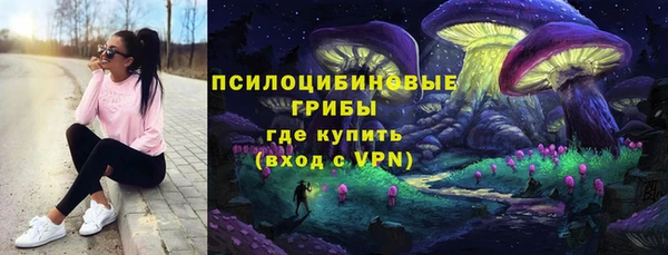 apvp Балахна
