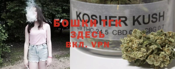 ПСИЛОЦИБИНОВЫЕ ГРИБЫ Баксан