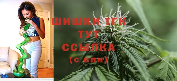 ПСИЛОЦИБИНОВЫЕ ГРИБЫ Арсеньев