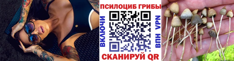 Псилоцибиновые грибы прущие грибы  Балей 